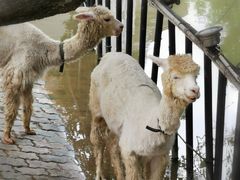 -金庭庄园酒店-停车场