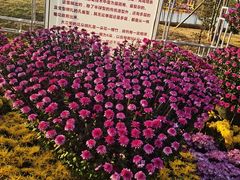 -小榄公饭店·岭南庭院餐厅(民安北路店)