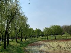 -蜀冈西峰生态公园