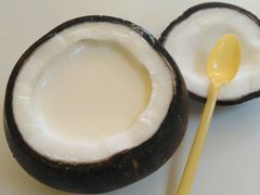 -志龙皇冠吃货椰子铺