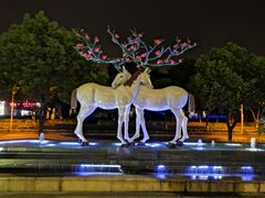 -鹭江潮餐厅•福建菜(鹭江佲家酒店)