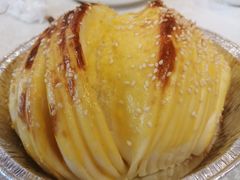 -食家鸽园