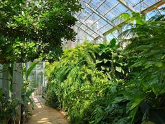 -国家植物园南园