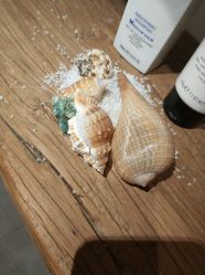 -净漪造型 PURE RIPPLE