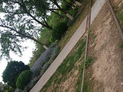 -永定河休闲森林公园