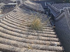 -糖房咖啡(南锣鼓巷店)