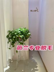 -薇兰专业脱毛连锁机构