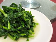 酒香豆苗-老吉士酒家(天平路店)