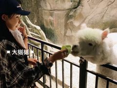 -zoonana室内动物园(东方福来德店)