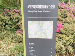 -尚贤河湿地