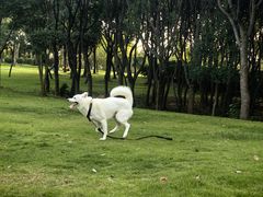 -尚贤河湿地