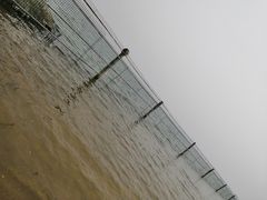 -碧海金沙