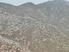 -北京凤凰岭