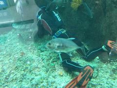 -鸿通城购物中心