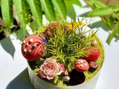 -5Cake五度无蔗糖低脂蛋糕(陶然亭店)