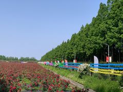 -上海长兴岛郊野公园