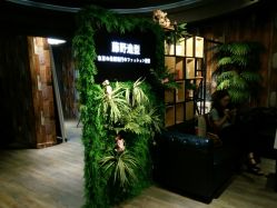 点击看大图 -藤野造型