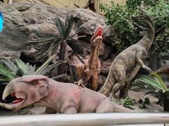 -国家自然博物馆