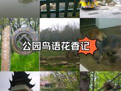 -扬州市茱萸湾风景区