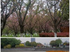 -映月湖中央公园