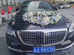 -蚂蚁婚车