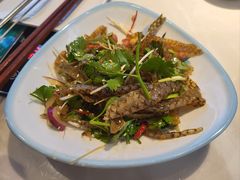 -粤顺渔坊·中山脆肉鲩火锅(清湖店)