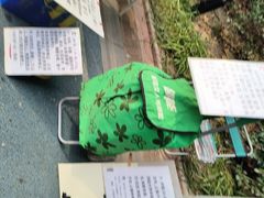 -人民公园-相亲角