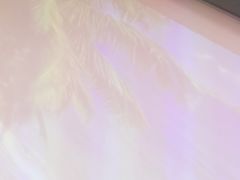 -洪氏嗨捞·猪肚鸡火锅(阳光天地店)