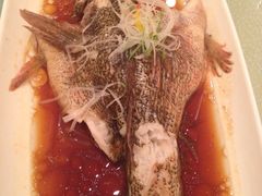 -上海大酒店(南京东路店)