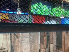 -探鱼·鲜青椒爽麻烤鱼(天河优托邦店)