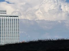 -广州白天鹅宾馆