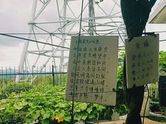 -南京老山国家森林公园