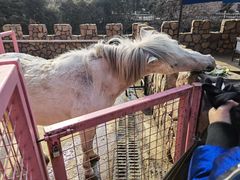 -金庭庄园酒店-停车场