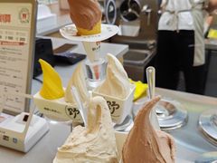 -野人先生现做冰淇淋(北京悠唐购物中心店)