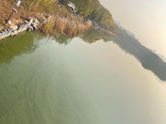 -大兴滨河森林公园