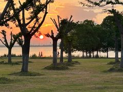 -苏州东太湖生态园