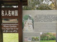 -中国科学院西双版纳热带植物园