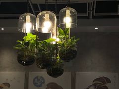 -千和日本料理(龍坪天虹店)