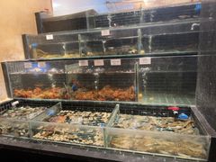 -衢农会·衢州菜·宴请(国际机场店)