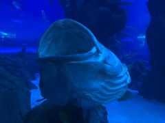 -成都浩海立方海洋公园