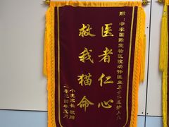 -中农国际动物医院24小时·猫科·骨科·急重症中心