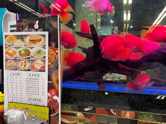 -新辉港式茶餐厅(北栅店)