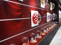 -青岛贝壳博物馆