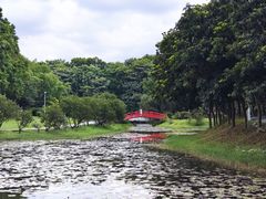 -东莞植物园