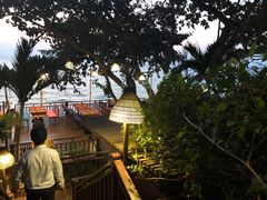 -卷心菜和避孕套餐厅(Pattaya)