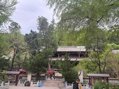 -潭柘寺景区