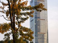 -陆家嘴中心绿地