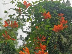 -海南热带野生动植物园