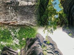 -梭布垭石林景区