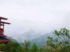 -少华山国家森林公园